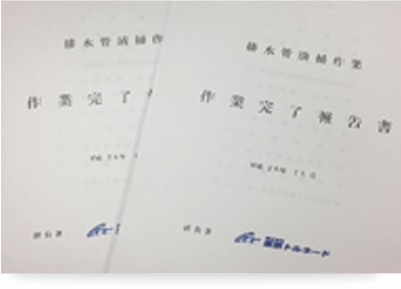 報告書画像