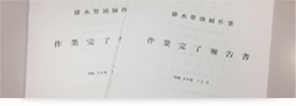 報告書画像