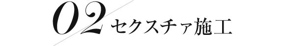 セクスチャ施工